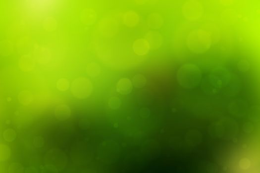  abstract green nature background, bokeh