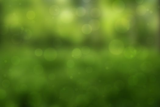  abstract green nature background, bokeh