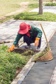 gardener pulling out weeds in public park in Thailand, motion blur