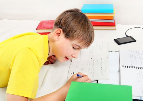 Kid doing Homework at the Home