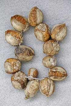 Ripe areca nuts. The areca nut is the seed of the areca palm, Areca catechu, which grows in much of the tropical Pacific, Asia, and parts of east Africa. It is commonly referred to as betel nut, as it is often chewed wrapped in betel leaves (paan).