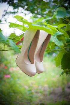 Womens shoes with high heels are hanging on a branch among green leaves