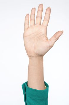 Cropped image of a woman showing her palms to camera