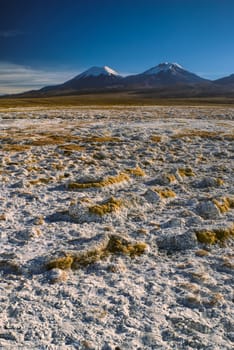 Scenic view of bolivian volcanoes Pomerape and Paranicota, highest peaks in Sajama national park in Bolivia