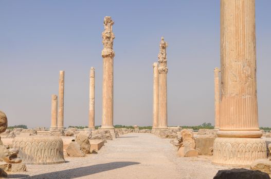 Pillars in ancient persian capital Persepolis, current Iran