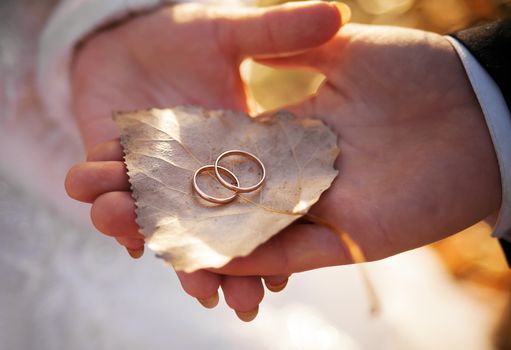 Bride and groom are holding birch leaf with gold wedding rings
