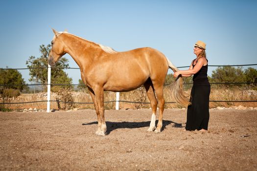 young woman training horse outside in summer choreography 