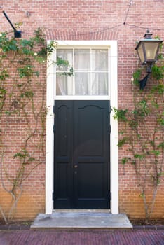 Vintage door surrounding by climber tree with classic lamp beside