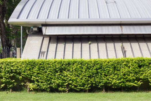 green bushes and building in public park.
