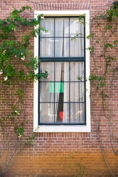 Vintage window surrounding by climber tree with white curtain inside