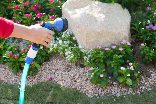 Hand grip the watering tool  rubber tube in the garden