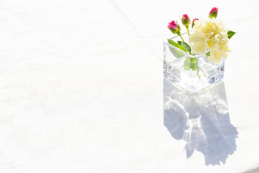 white carnation flowers in the tranparent glass with sunlight behind