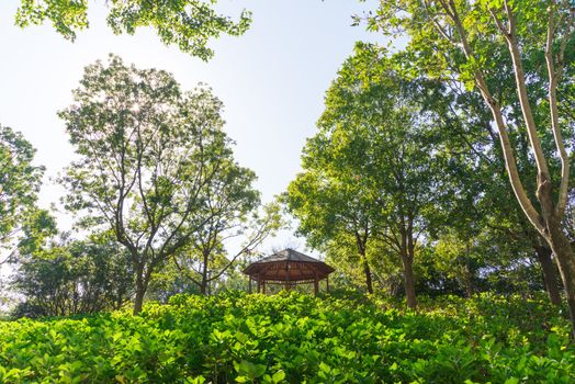 Pavilion in a center of garden for sitting among natural view