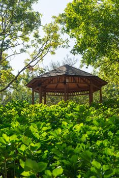 Pavilion in a center of garden for sitting among natural view