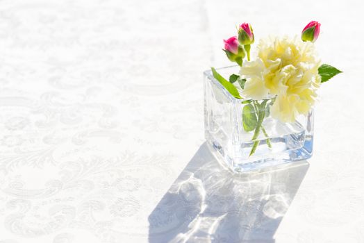 white carnation flowers in the tranparent glass with sunlight behind