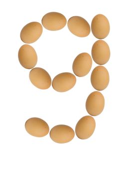 Alphabets  A to Z from brown eggs alphabet isolated on white background, g