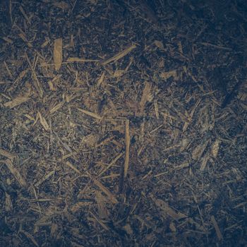 Scraps of wood panel texture background.
