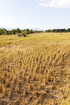 Rural field at pai district, Mae Hong Son Province,Thailand.