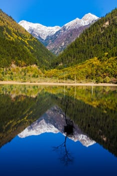 mirror lake at Jiuzhaigou scenic area with mountain snow, Sichuan, China