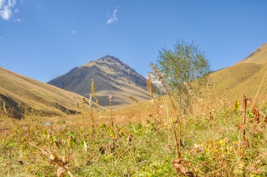 Scenic nature in green grasslands in Kyrgyzstan