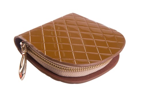 wallet. woman wallet on background