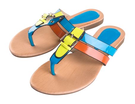 shoe. female fashion sandal on Background