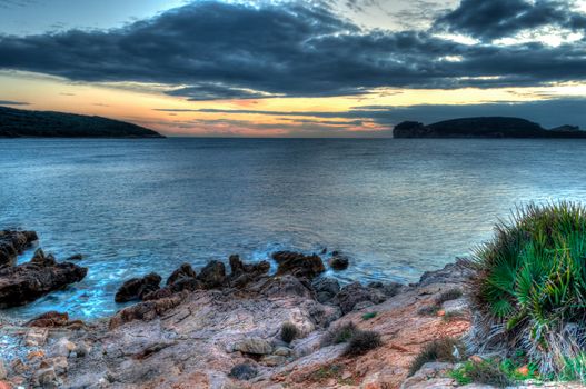 Seascape at sunset in winter with grass and a plant