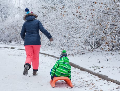 Winter, play, fun - Back view of Mother and her cute little son having fun with sled in winter park