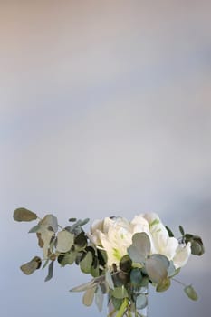 Bouquet of white parrot tulips and eucalyptus in a vase