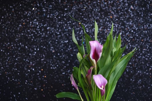 bouquet of purple calla lilies