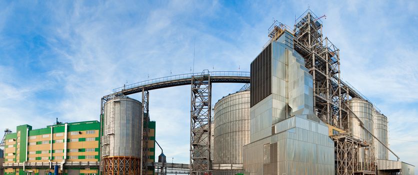 Towers of grain drying enterprise. metal grain facility with silos