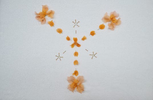 Orange flower petal design on white