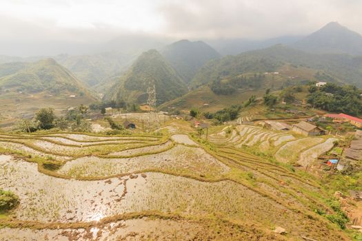 Rice fields on terraced of  Cat Cat Village, Sapa Vietnam. 