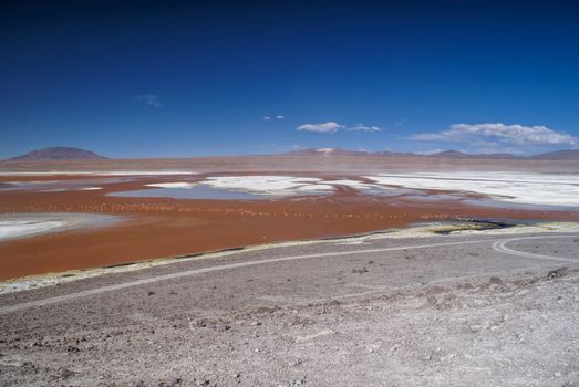 Red lake dotted with flamingos in bolivian desert near Salar de Uyuni