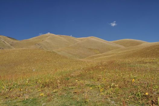 Grassy hills in Ala Archa national park in Tian Shan mountain range in Kyrgyzstan