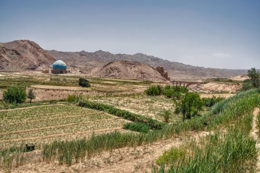 Crops in arid iranian landscape near village of Kharanaq in Iran