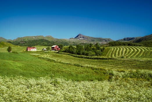 Picturesque farm in mountains of Norway