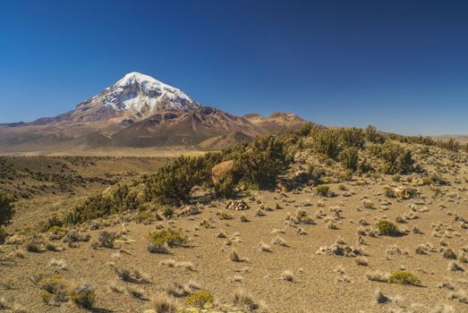 Picturesque landscape around Nevado Sajama volcano, highest peak in Bolivia in Sajama national park