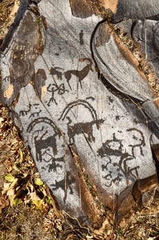 Ancient pictograms engraved on rock on Saimaluu Tash site in Kyrgyzstan