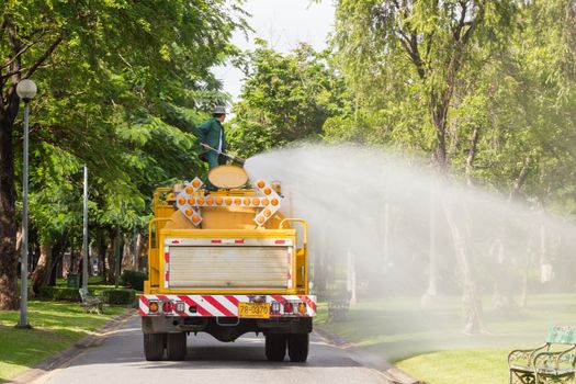 man watering plants on water truck in the park, closeup