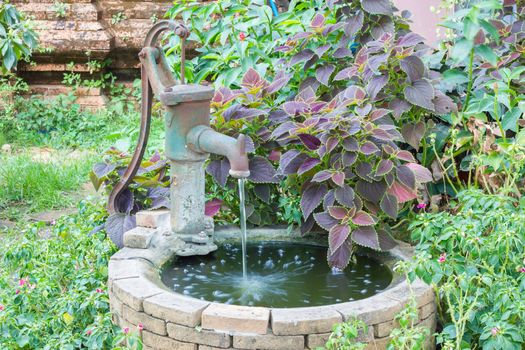 Old water well with water pump among colorful plants.