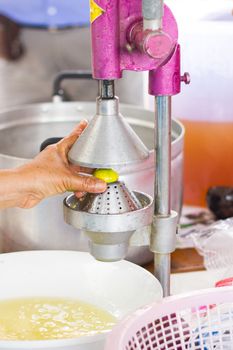 hand of woman squeezing lemon with big retro squeezer.