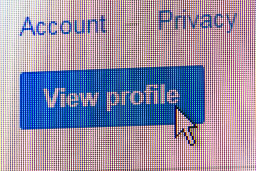 Click on view profile button on computer screen - macro.