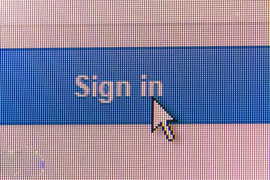 Sign in button on computer screen.