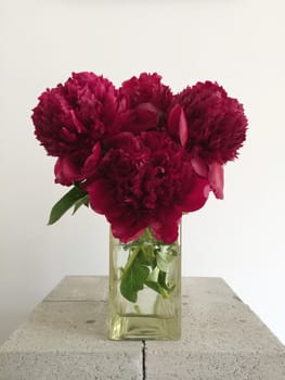 Bouquet of red peonies in a vase
