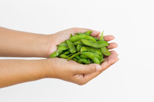 Hyacinth bean in woman's hand isolated on white background.