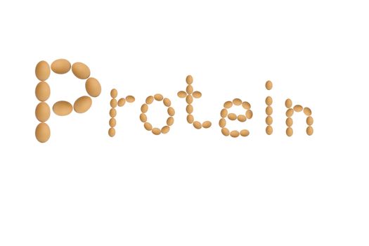 word protein made of eggs, isolated on white background