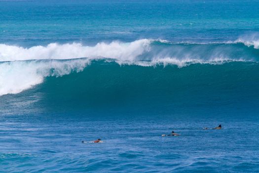 Picture of Ocean Wave. Indian Ocean.