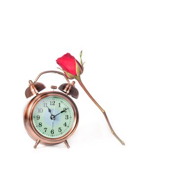 Red Rose Flower and alarm clock on isolate