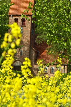 Church in Dennmark in a nature landscape with rapse